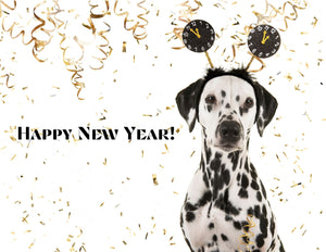 New Year’s Resolutions for Dogs: 12 re(solutions) to make your pup healthier and happier throughout the year! - Bow Wow Labs