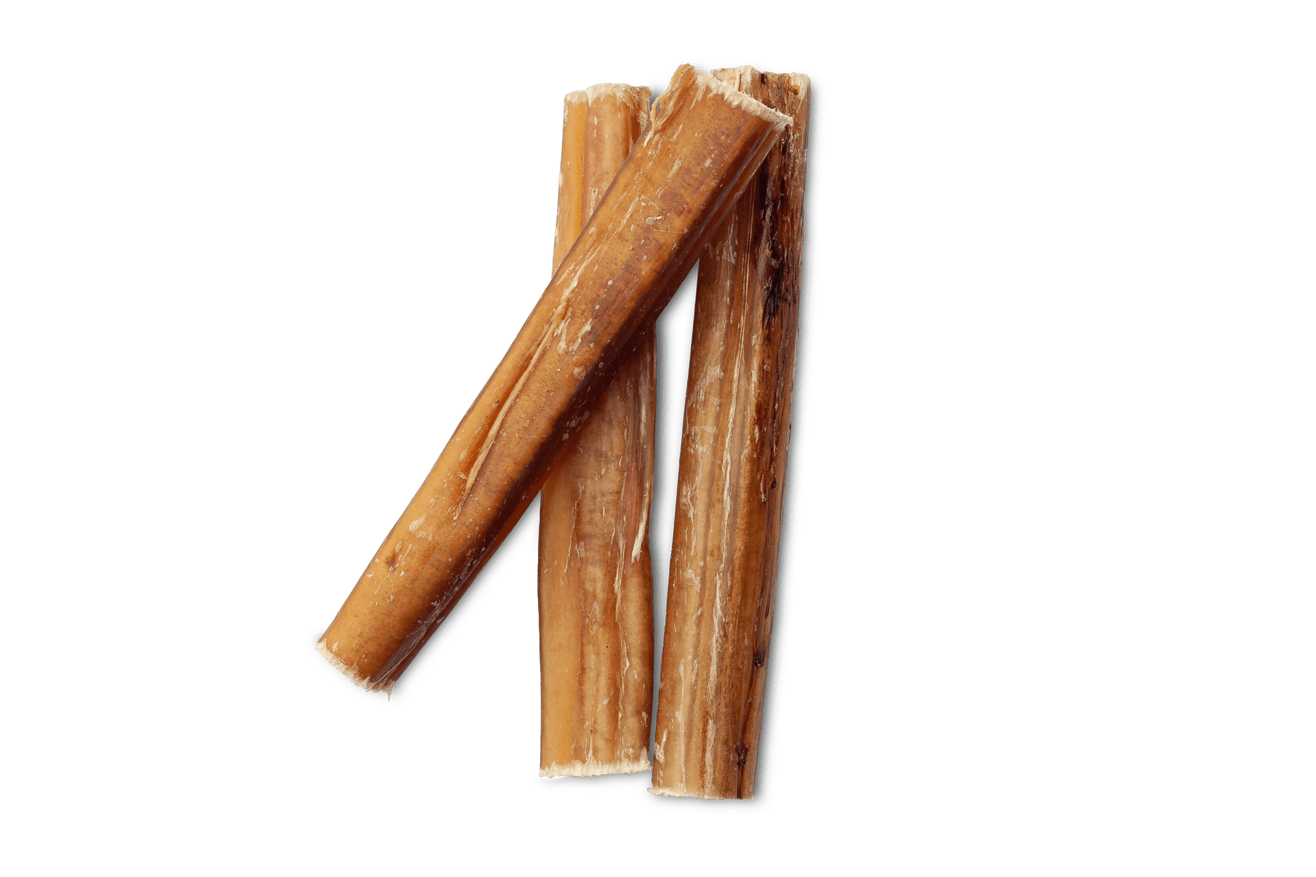 What Exactly is a Bully Stick?