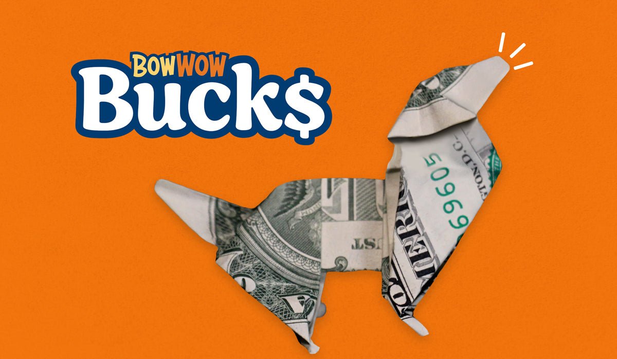 Bow Wow Bucks: Earning Rewards for Your Dog