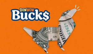 Bow Wow Bucks: Earning Rewards for Your Dog - Bow Wow Labs