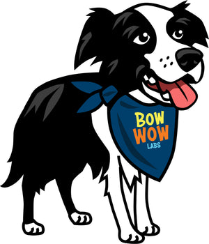 Help Promote Safer Bully Stick Snacking - Bow Wow Labs