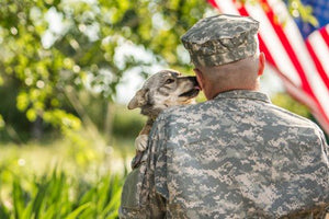 K-9 Veterans Day:Celebrate the Love and Sacrifice of Dog Heroes Everywhere - Bow Wow Labs