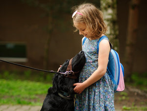 Is Your Dog Ready for Back-to-School Season? - Bow Wow Labs