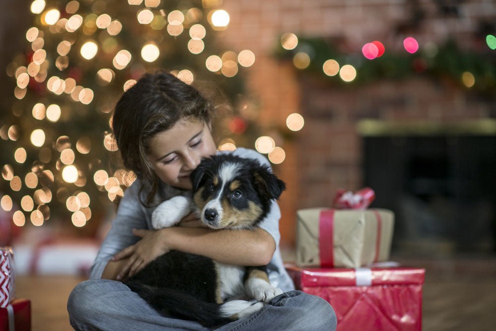 Is a New Puppy Coming Home For the Holidays? Check This List Twice, First!