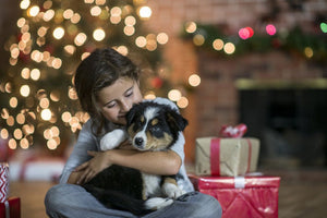 Is a New Puppy Coming Home For the Holidays? Check This List Twice, First! - Bow Wow Labs