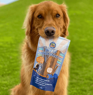 Our Bully Sticks are Low-Odor - Why This Matters - Bow Wow Labs