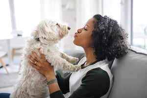 A person kissing their small dog, demonstrating emotional support and companionship