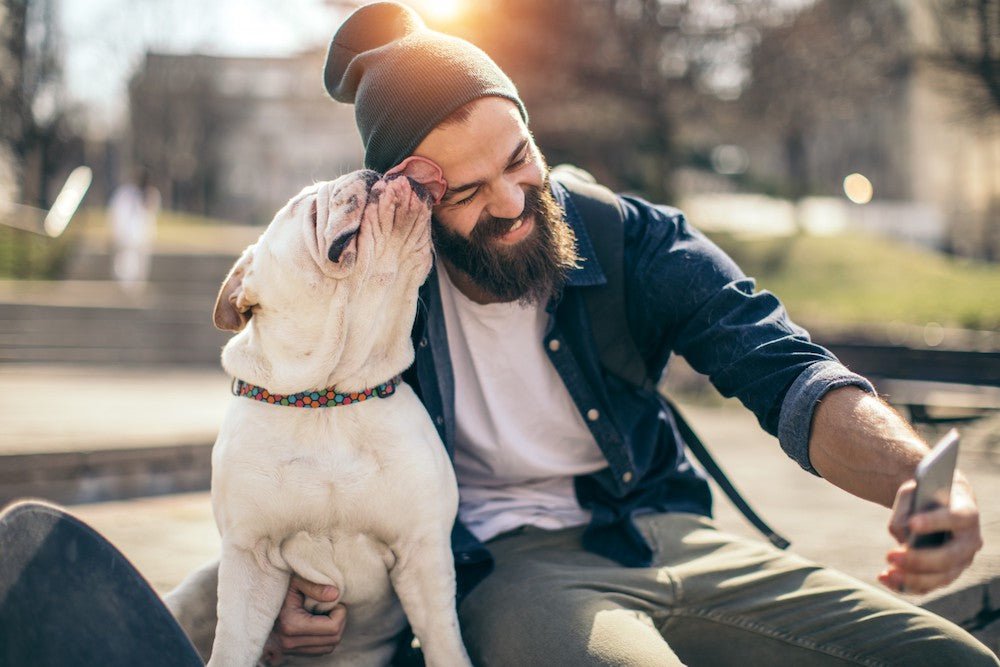 Naturally Boost Your Dog’s Health with These 7 Effective Tips