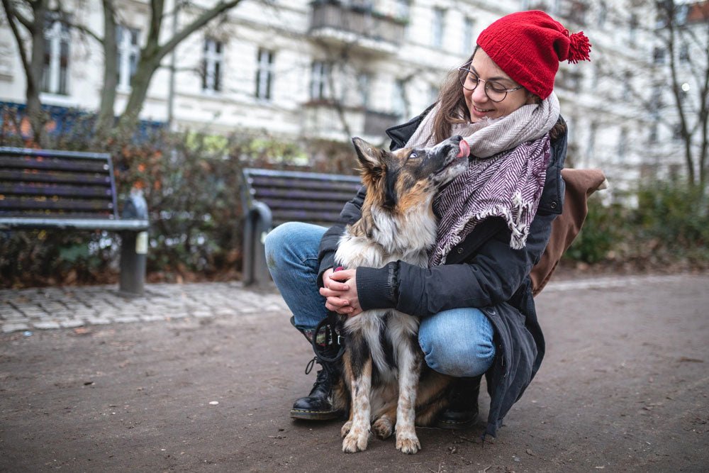 Set Up Dog Sitters for Success When You Leave This Holiday Season