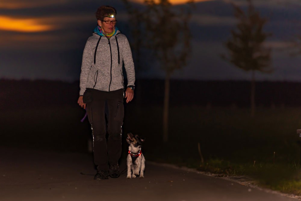 The Best Way to Stay Visible When Walking Your Dog in the Dark