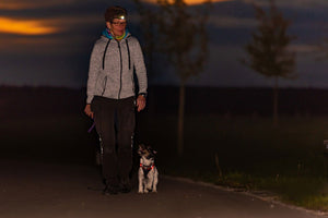 The Best Way to Stay Visible When Walking Your Dog in the Dark - Bow Wow Labs