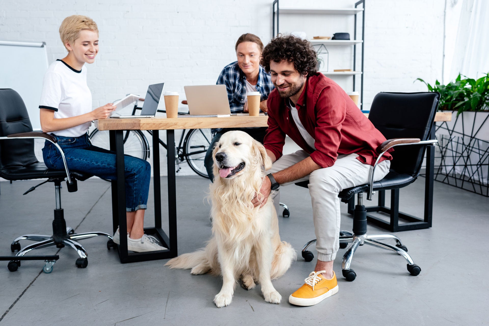 3 Benefits to Bringing Your Dog to Work