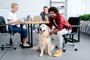 3 Benefits to Bringing Your Dog to Work - Bow Wow Labs