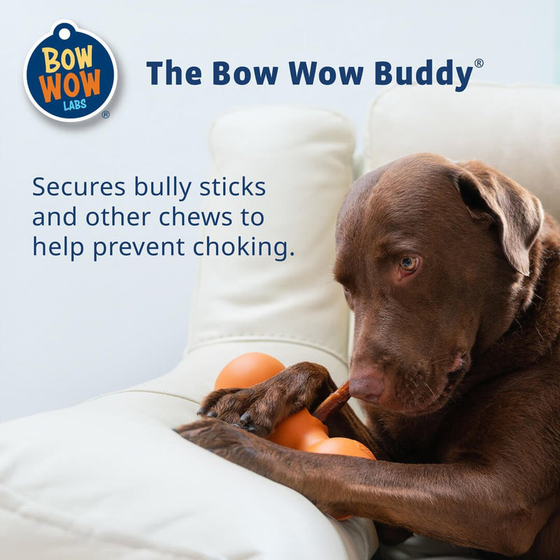 Bow Wow Buddy® Starter Kit - Bow Wow Labs