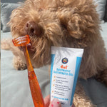 Oral Care Kit - Bow Wow Labs